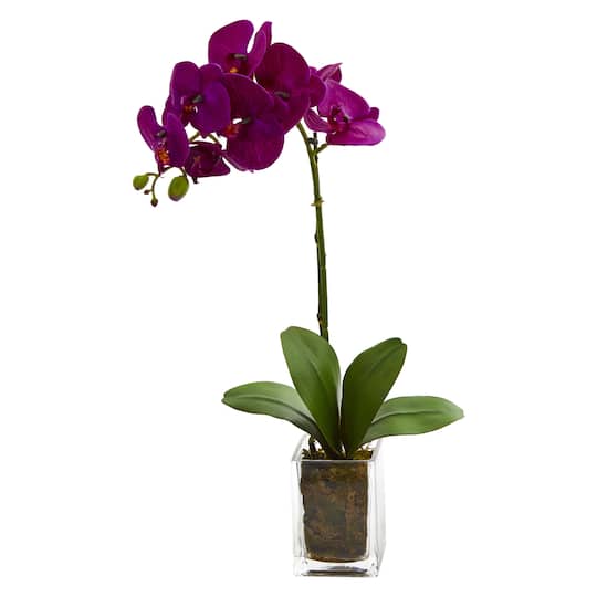 24&#x22; Purple Moth Orchid Arrangement in Vase